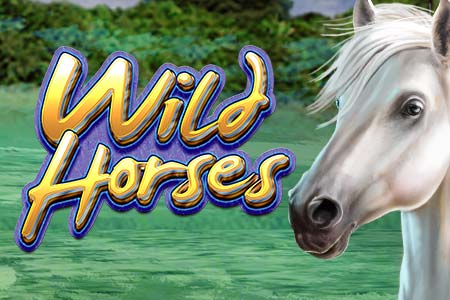 Wild Horses