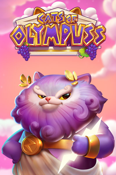 Cats of Olympuss