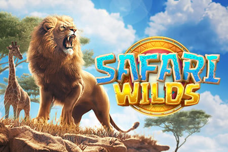 Safari Wilds