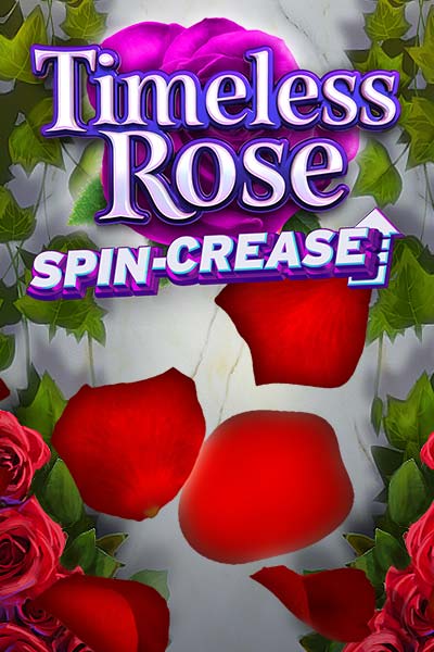 Timeless Rose