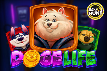 Doge Life
