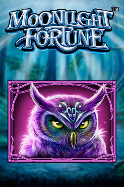 Moonlight Fortune