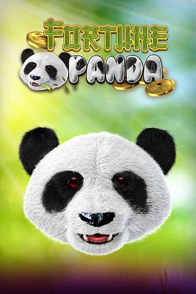 Fortune Panda