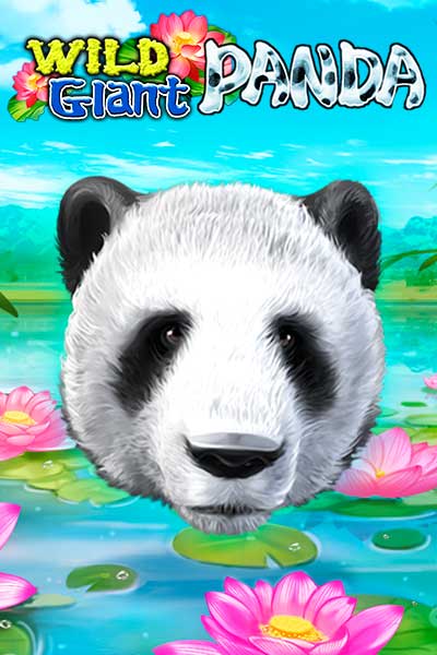 Wild Giant Panda