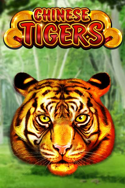 Chinese Tigers